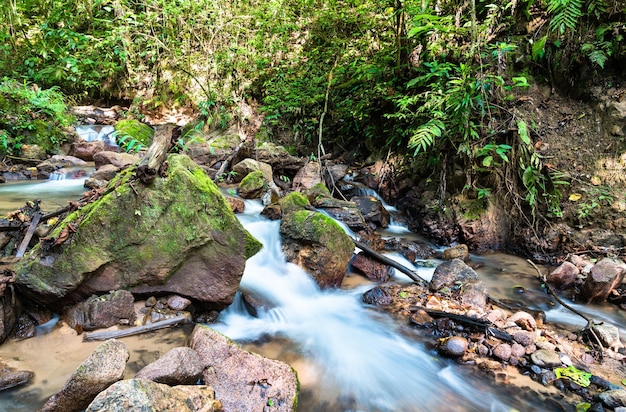 Wodospad el tirol w dżungli chanchamayo w peru