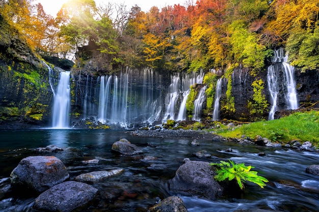 Bezpłatne zdjęcie wodospad shiraito jesienią, japonia.