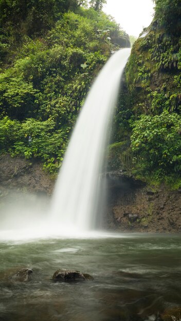 Wodospad w pięknym tropikalnym lesie deszczowym Kostaryki