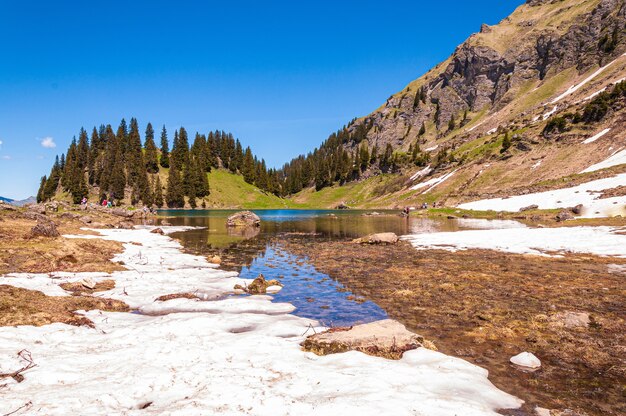 Wody jeziora Lac Lioson otoczone drzewami i górami w Szwajcarii