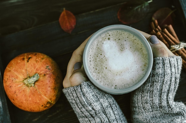 Woman Hands z Pikantną dynią latte na drewnianej desce ze swetrem