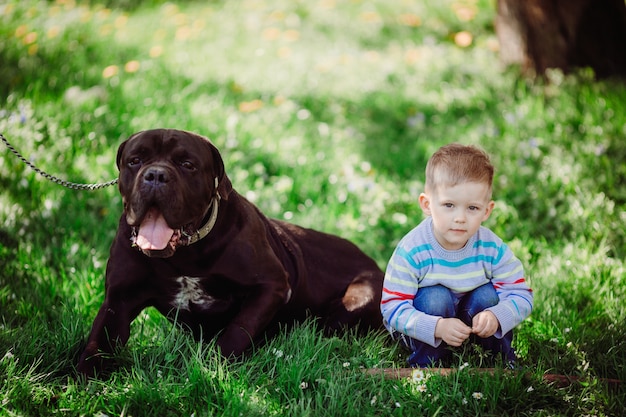 Współczująca Chłopiec Siedzi Blisko Psa W Parku