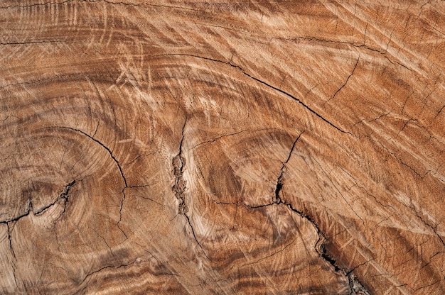 Bezpłatne zdjęcie wyblakły powierzchni drewnianych