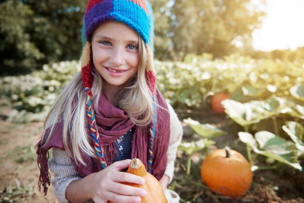 Wybór idealnej dyni na Halloween