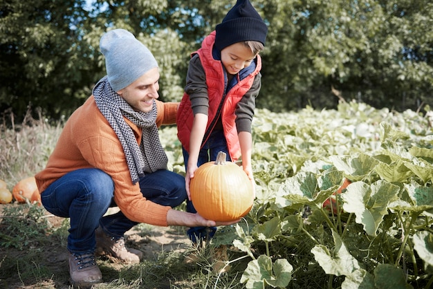 Wybór Idealnej Dyni Na Halloween