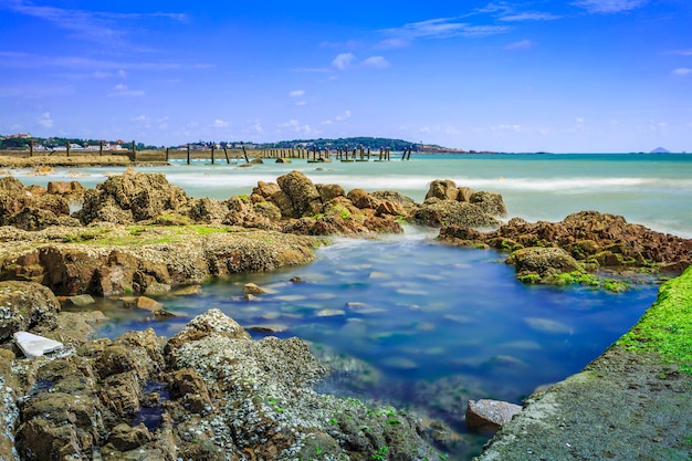 Wyposażenie grand reef czerwonej plaży drzew