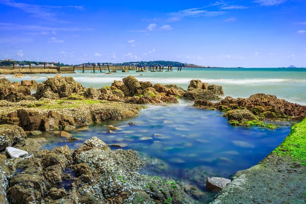 Wyposażenie grand reef czerwonej plaży drzew