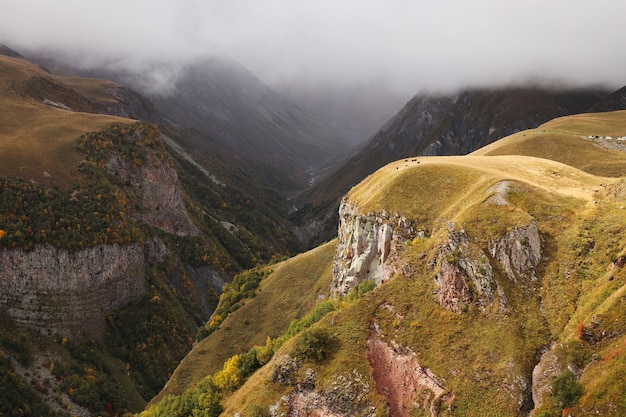 Wysoki kąt strzału obszaru rekreacyjnego Gudauri w Gudauri, Georgia