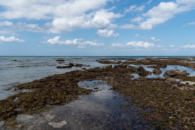 Wysoki kąt strzału spokojnego brzegu oceanu pod pochmurnym niebem