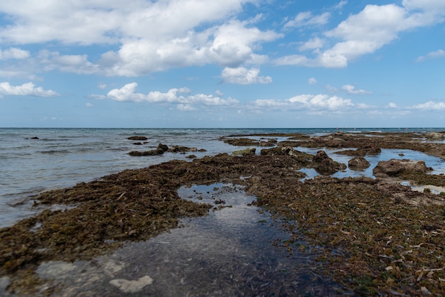 Wysoki kąt strzału spokojnego brzegu oceanu pod pochmurnym niebem