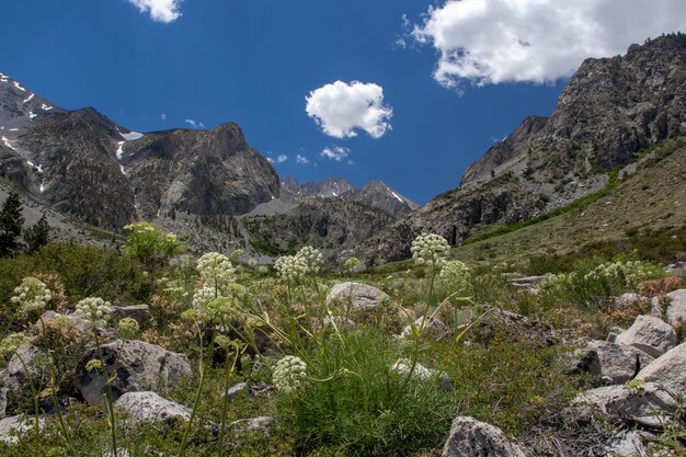 Wysoki kąt ujęcia naturalnego obszaru w pobliżu lodowca Palisades w Big Pine Lakes w Kalifornii