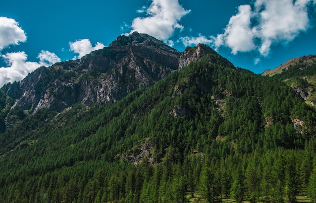 Wysokie skaliste góry zakrywać z zielonymi drzewami pod chmurnym niebem przy Pragelato, Włochy