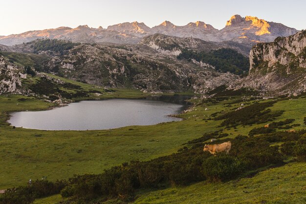 Wysokie ujęcie jeziora Ercina otoczonego skalistymi górami