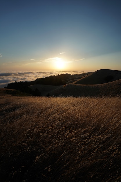 Bezpłatne zdjęcie wysokie wzgórza pokryte suchą trawą z widoczną panoramą na mt. tam w marin, kalifornia