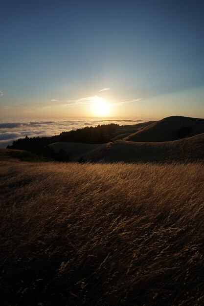 wysokie wzgórza pokryte suchą trawą z widoczną panoramą na Mt. Tam w Marin, Kalifornia