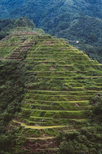 Bezpłatne zdjęcie wysokiego kąta strzał piękny krajobraz w banaue ryżowych tarasach, ifugao prowincja, filipiny