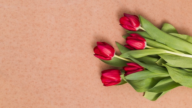 Wysokiego kąta widok czerwony tulipan kwitnie na brown textured tle