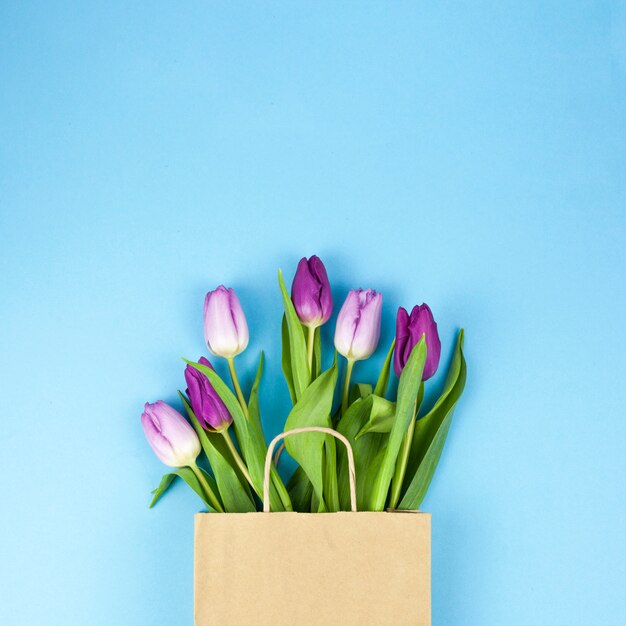 Wysokiego kąta widok purpurowi tulipanowi kwiaty na brown torbie przeciw błękitnemu tłu
