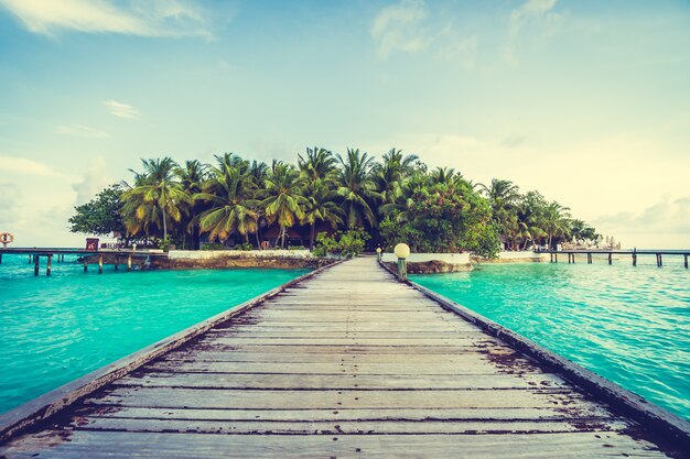 Wyspa Malediwów