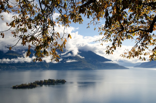 Wyspy Brissago i gałęzie na alpejskim jeziorze Maggiore i góry w Ticino w Szwajcarii