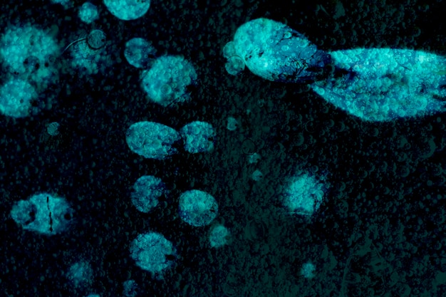 Bezpłatne zdjęcie wytłoczyć streszczenie na niebieskich mikroorganizmach