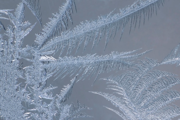 Wzory lodu i zamarznięta woda na szkle. naturalne tekstury i tła. wzory lodu na zamrożonych