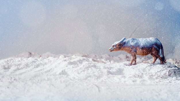 Bezpłatne zdjęcie zabawkarski zwierzę na banku śnieg i płatek śniegu