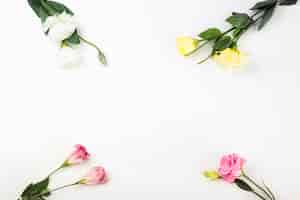 Bezpłatne zdjęcie zakończenie kwiaty na białym tło kącie