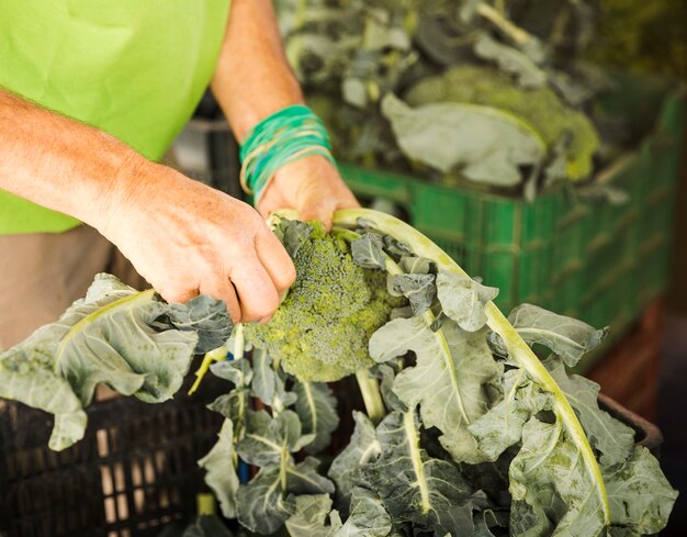 Zakończenie męska ręka stawia brokuły w skrzynce podczas gdy robiący zakupy na rynku