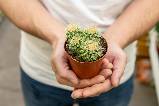 Zakończenie ręki trzyma małej kaktusowej rośliny