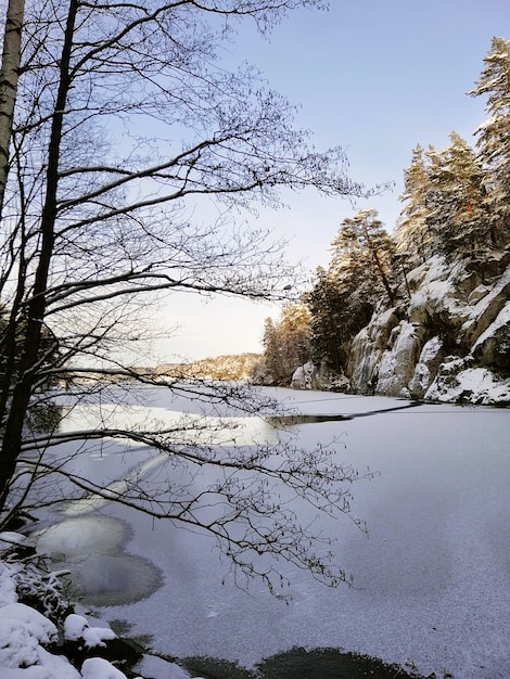Zamarznięte jezioro otoczone drzewami i skałami pokryte śniegiem w słońcu w Norwegii