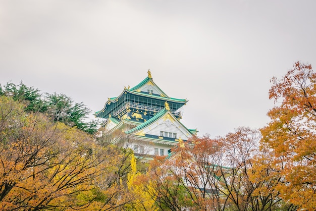 Bezpłatne zdjęcie zamek osaka w osaka w japonii