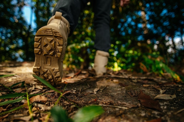 Zamknij buty wycieczkowicza spacerującego po leśnym szlaku z kopią światła słonecznego