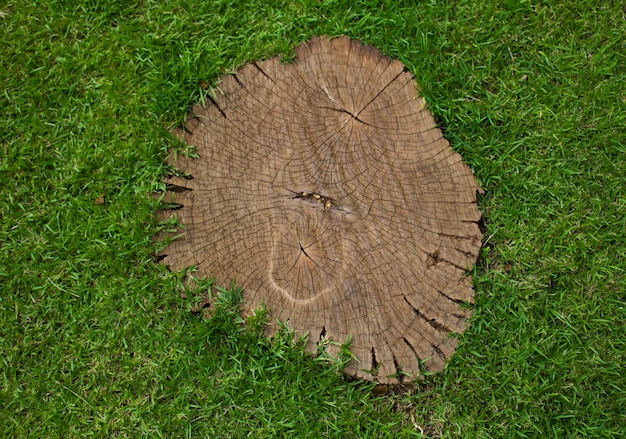 Bezpłatne zdjęcie zamknij się wood pathway