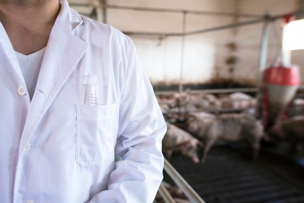 Bezpłatne zdjęcie zamknij widok nierozpoznawalnego lekarza weterynarii ze strzykawką w przedniej kieszeni i świń zwierząt domowych w chlewie w tle