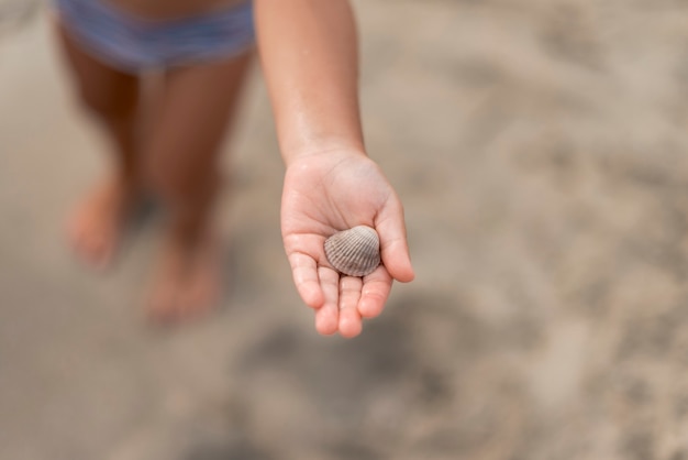 Zamyka up dzieciak ręka pokazuje seashell