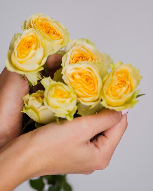 Zamyka w górę ręk trzyma żółte róże