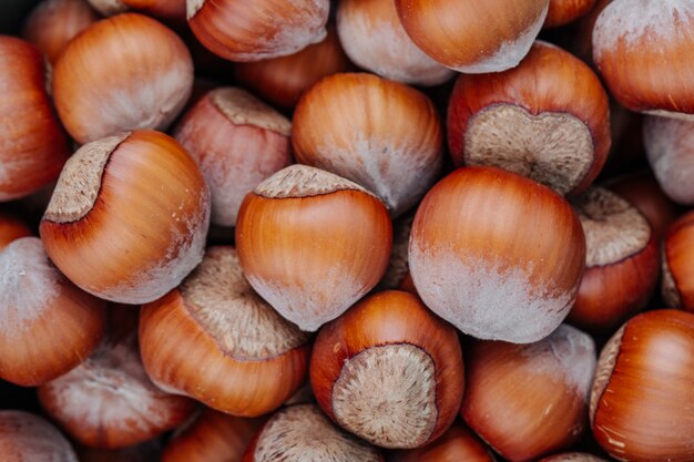 Zamyka w górę widoku hazelnuts w skorupie