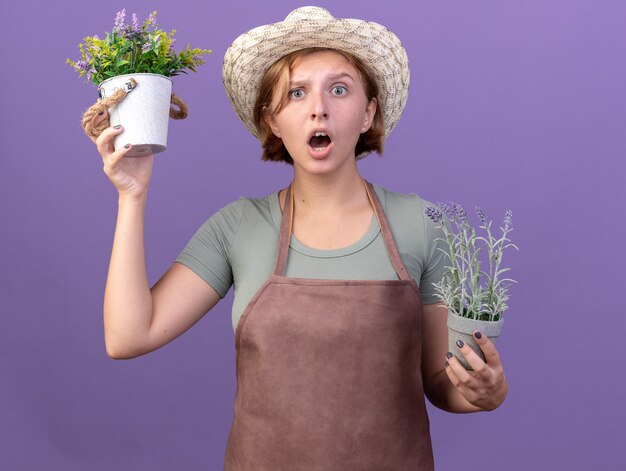 Zaniepokojona młoda słowiańska ogrodniczka w kapeluszu ogrodniczym, trzymając kwiaty w doniczkach na fioletowo