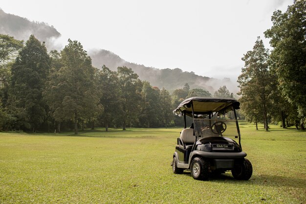 Zaparkowany wózek golfowy. Bali. Indonezja