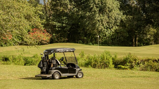 Zaparkowany wózek golfowy. Bali. Indonezja