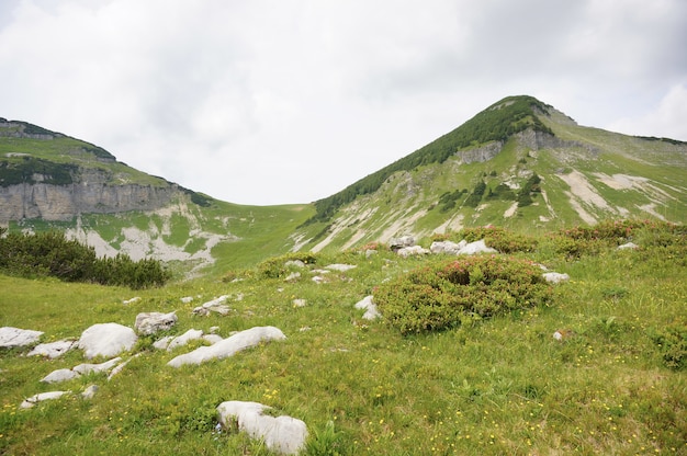 Bezpłatne zdjęcie zapierająca dech w piersiach scena z kultowych alp w austrii