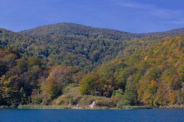 Zapierające dech w piersiach ujęcie lasu na wzgórzach w pobliżu jeziora Plitvice w Chorwacji