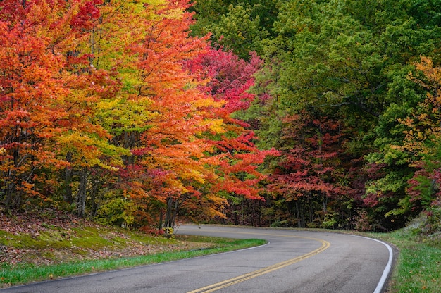 Zapierający dech w piersiach jesienny widok na drogę otoczoną pięknymi i kolorowymi liśćmi drzew
