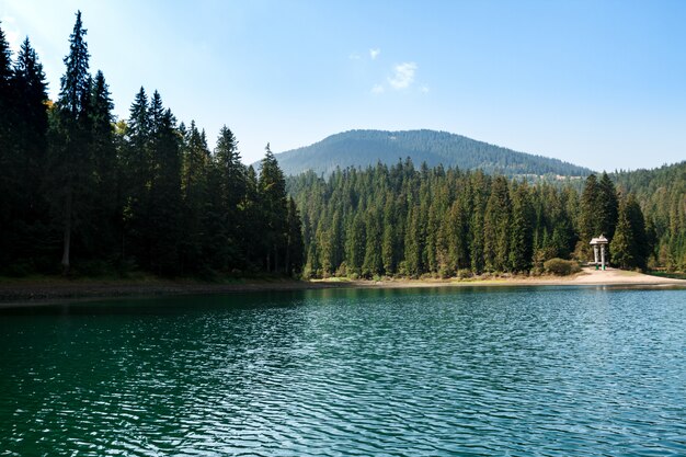 Zapierający dech w piersiach krajobraz jeziora wysoko w Karpatach