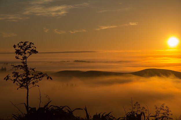 Zapierający dech w piersiach widok na drzewa i mgliste wzgórza uchwycone o zachodzie słońca w Hawke's Bay w Nowej Zelandii