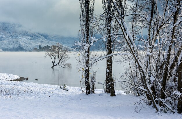 Zapierający dech w piersiach widok na jezioro Wanaka w miejscowości Wanaka w Nowej Zelandii