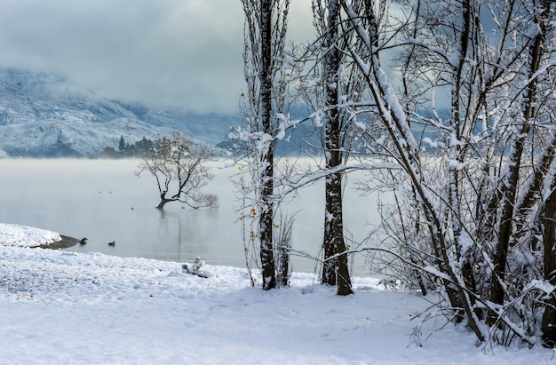 Zapierający dech w piersiach widok na jezioro Wanaka w miejscowości Wanaka w Nowej Zelandii