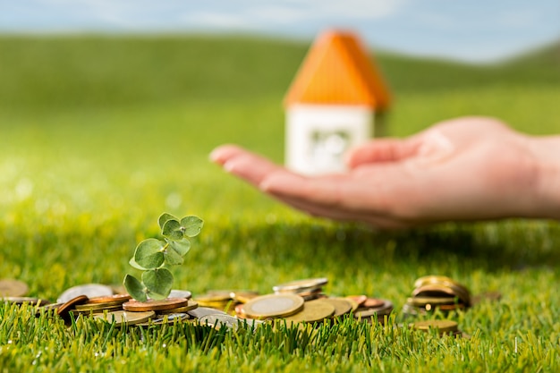 Bezpłatne zdjęcie zasadza dorośnięcie w moneta szklanym słoju dla pieniądze na zielonej trawie