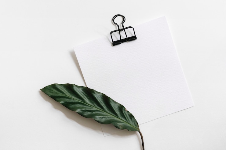 Bezpłatny plik Zdjęcie zasięrzutny widok zielony liść na papierze z czarnym paperclip przeciw białemu tłu